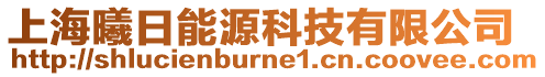 上海曦日能源科技有限公司