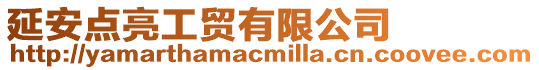 延安點亮工貿(mào)有限公司