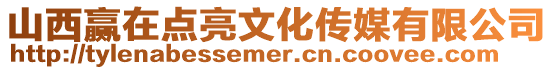 山西贏在點(diǎn)亮文化傳媒有限公司