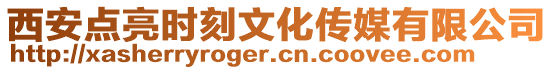 西安點(diǎn)亮?xí)r刻文化傳媒有限公司