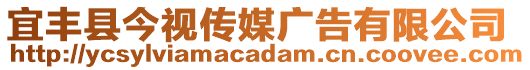 宜豐縣今視傳媒廣告有限公司