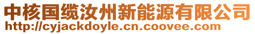 中核國纜汝州新能源有限公司