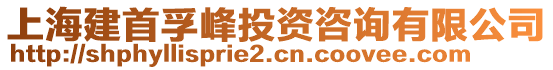 上海建首孚峰投資咨詢有限公司