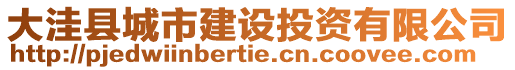 大洼縣城市建設投資有限公司