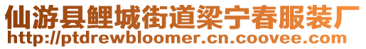仙游縣鯉城街道梁寧春服裝廠