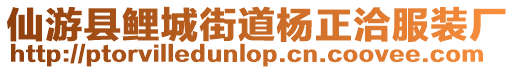 仙游縣鯉城街道楊正洽服裝廠