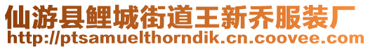 仙游縣鯉城街道王新喬服裝廠