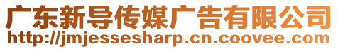 廣東新導(dǎo)傳媒廣告有限公司