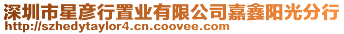 深圳市星彥行置業有限公司嘉鑫陽光分行