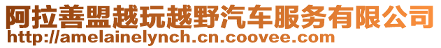 阿拉善盟越玩越野汽車服務有限公司