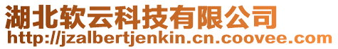 湖北軟云科技有限公司