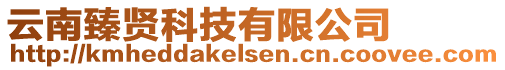 云南臻賢科技有限公司