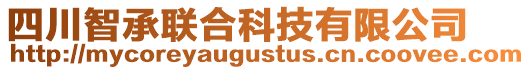 四川智承聯(lián)合科技有限公司