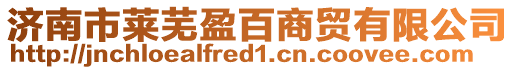 濟南市萊蕪盈百商貿有限公司
