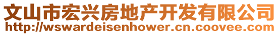 文山市宏興房地產開發有限公司