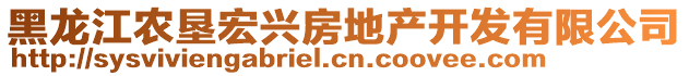 黑龍江農墾宏興房地產開發有限公司