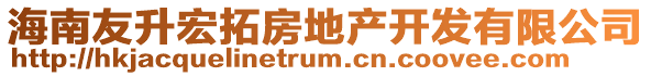 海南友升宏拓房地產(chǎn)開發(fā)有限公司