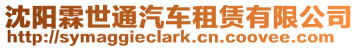 沈陽霖世通汽車租賃有限公司