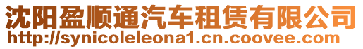 沈陽盈順通汽車租賃有限公司