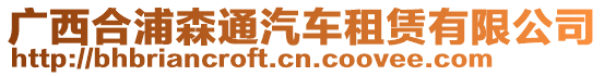 廣西合浦森通汽車租賃有限公司