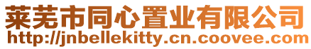萊蕪市同心置業有限公司