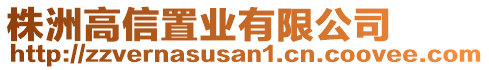 株洲高信置業有限公司
