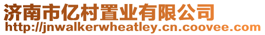 濟南市億村置業有限公司