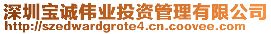 深圳寶誠偉業(yè)投資管理有限公司