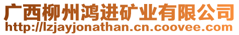 廣西柳州鴻進礦業(yè)有限公司