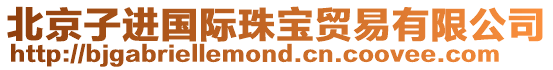 北京子進國際珠寶貿易有限公司