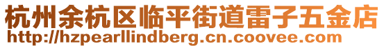 杭州余杭区临平街道雷子五金店