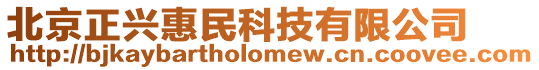 北京正興惠民科技有限公司