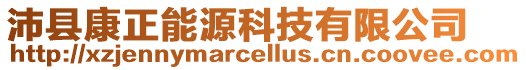 沛縣康正能源科技有限公司