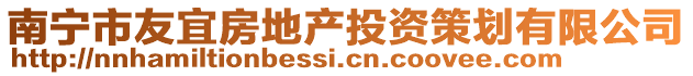 南寧市友宜房地產(chǎn)投資策劃有限公司