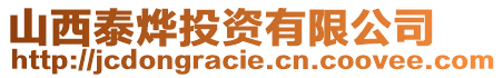山西泰燁投資有限公司