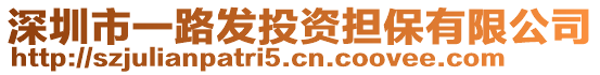 深圳市一路發(fā)投資擔(dān)保有限公司