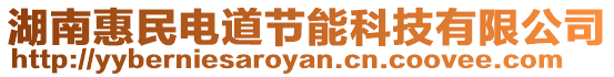 湖南惠民電道節能科技有限公司