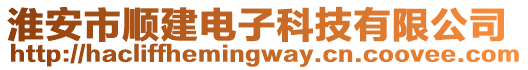 淮安市順建電子科技有限公司