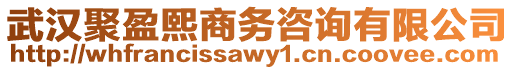 武漢聚盈熙商務(wù)咨詢有限公司