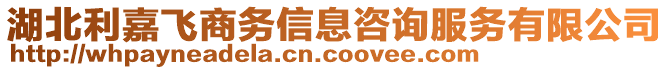 湖北利嘉飛商務(wù)信息咨詢服務(wù)有限公司