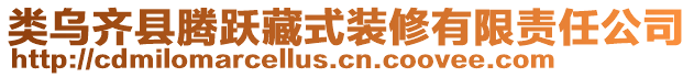 類烏齊縣騰躍藏式裝修有限責(zé)任公司