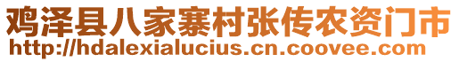 雞澤縣八家寨村張傳農(nóng)資門市