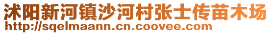 沭陽新河鎮(zhèn)沙河村張士傳苗木場