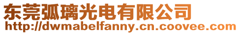 東莞弧璃光電有限公司
