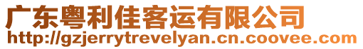 廣東粵利佳客運有限公司