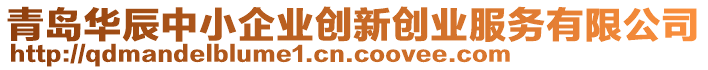 青島華辰中小企業(yè)創(chuàng)新創(chuàng)業(yè)服務(wù)有限公司
