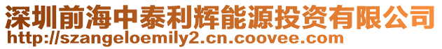 深圳前海中泰利輝能源投資有限公司