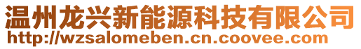 溫州龍興新能源科技有限公司
