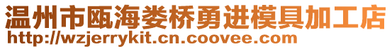 溫州市甌海婁橋勇進(jìn)模具加工店