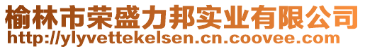 榆林市榮盛力邦實業(yè)有限公司